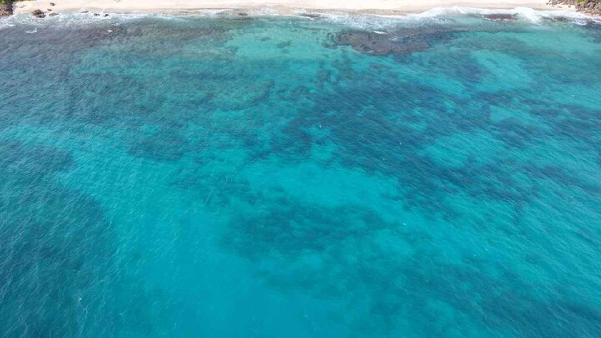 Seychelles Snorkelling, Swimming & BBQ