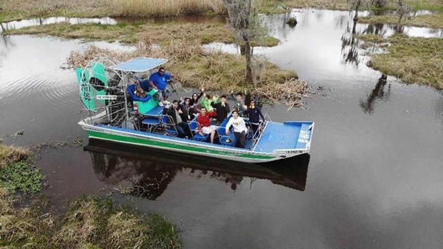New Orleans Small-Group Airboat Swamp Tour