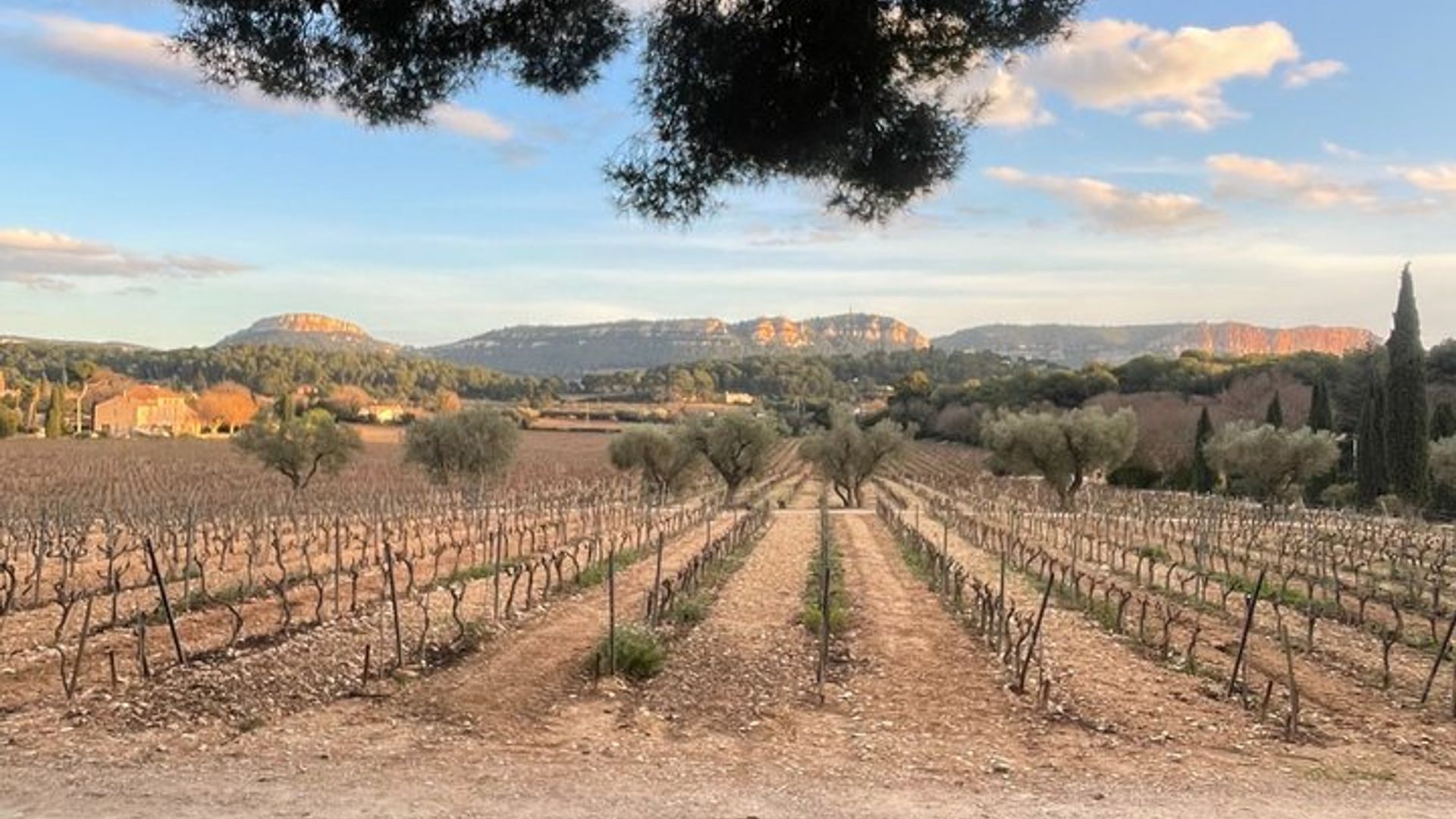 Cassis Domaine forêt des janots et route des crêtes en Buggy