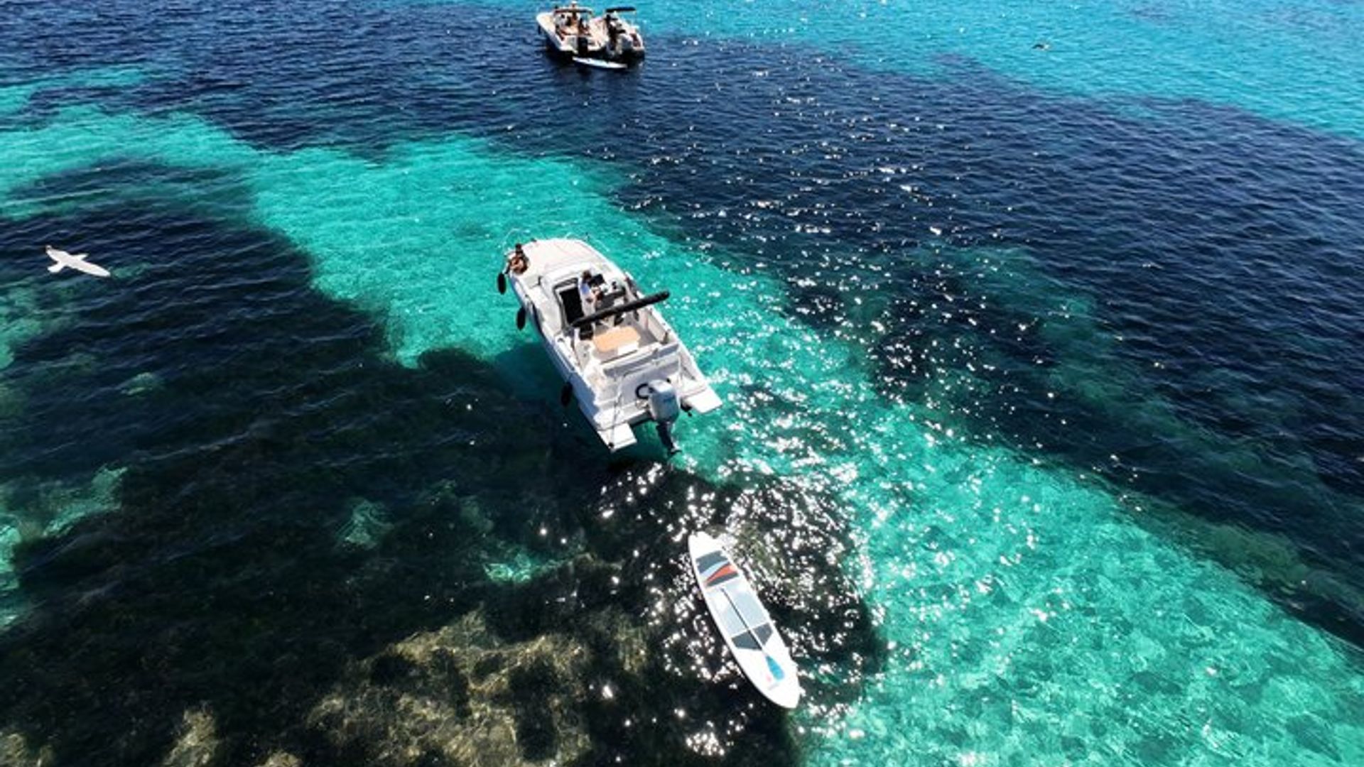 Descubre las islas de Lérins y la bahía de Cannes en barco privado