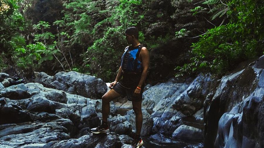 El Yunque Small-Group Guided Half-Day Rain Forest Adventure