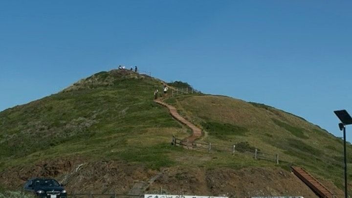 San Francisco & Muir Woods Tour: Golden Gate, Sausalito & More