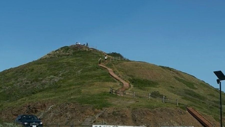 San Francisco, Muir Woods Tour, Sausalito Half- or Full-Day