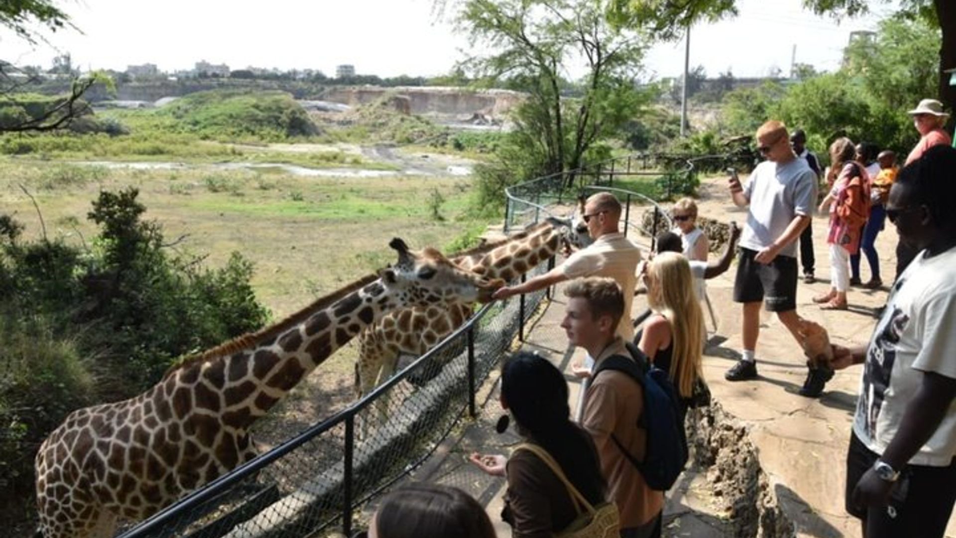 Urugendo rwa Haller Park rwitegereza imvubu, giraffi, inyoni, inkende, ingona nibindi