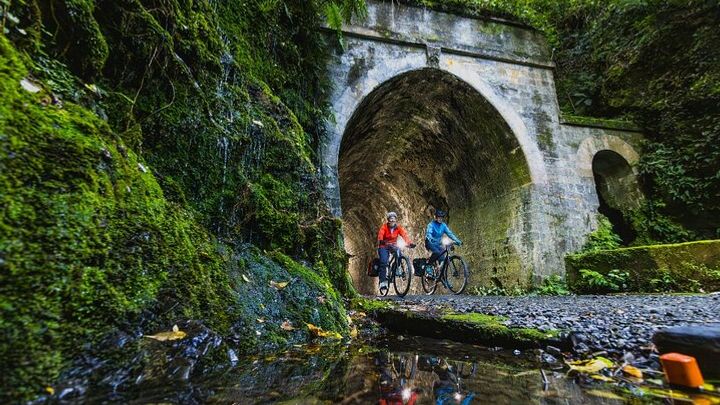 Remutaka Cycle Trail Transfers, Gear and Lunch from Wellington