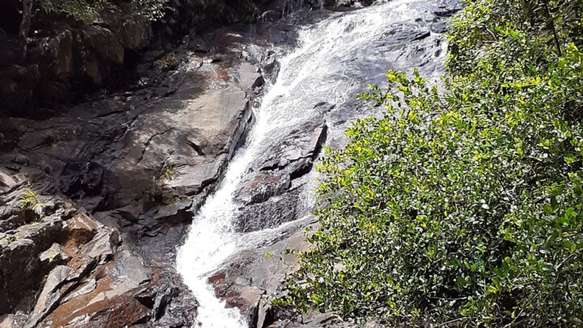 Mahe Private Half-Day Island Tour