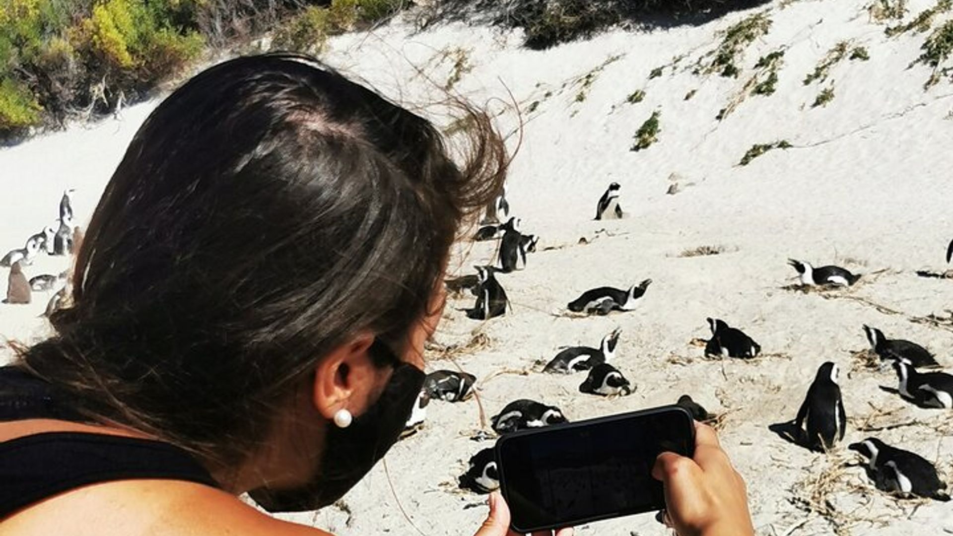 Cape Point Small-Group Guided Tour