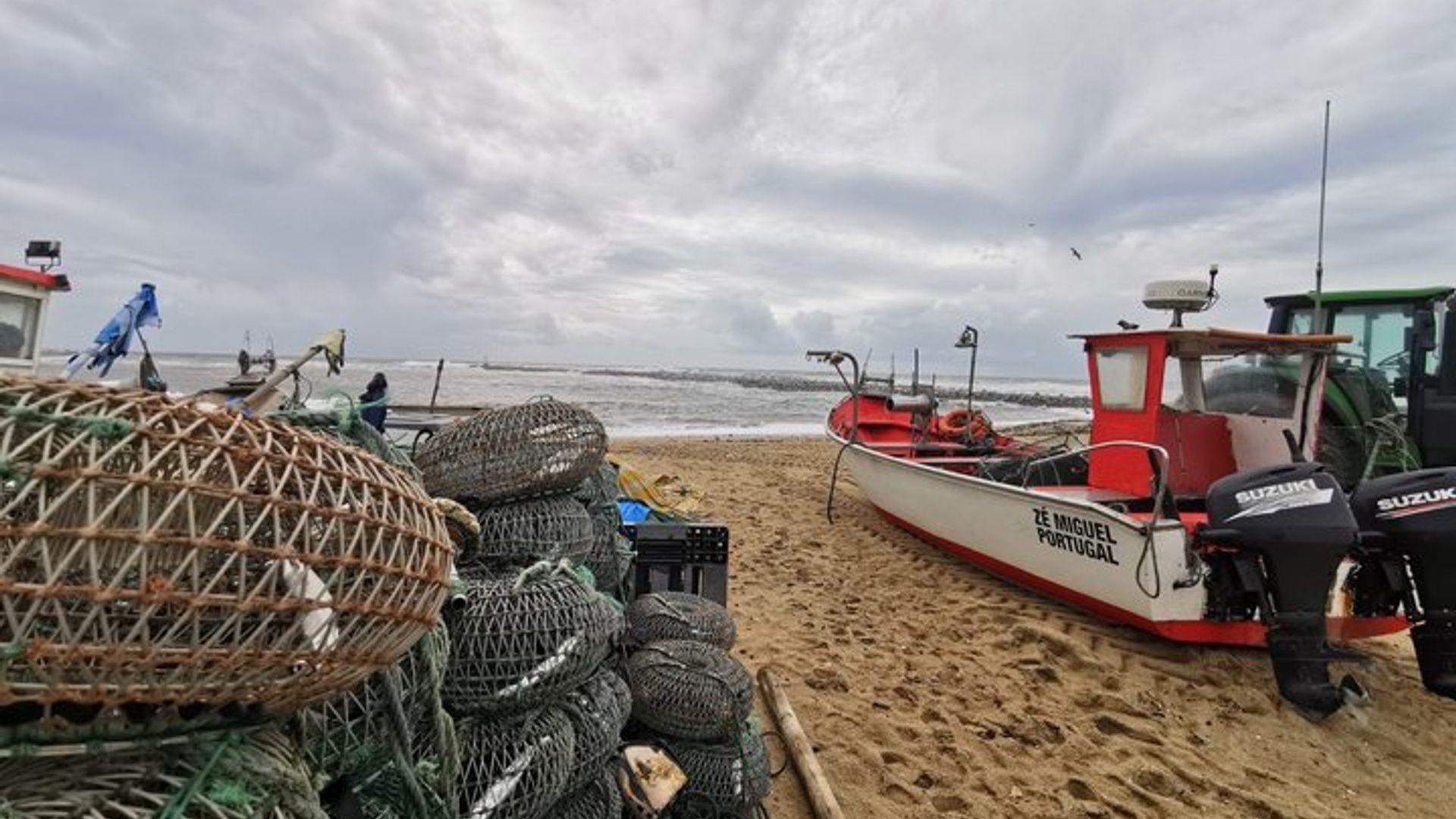 Expérience de poisson privée avec déjeuner de marché à table de Porto