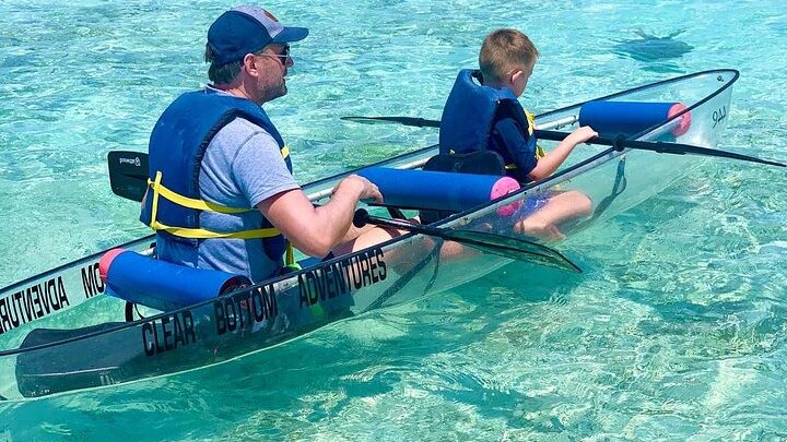 Clear Kayak Tour of Mangroves in Turks and Caicos