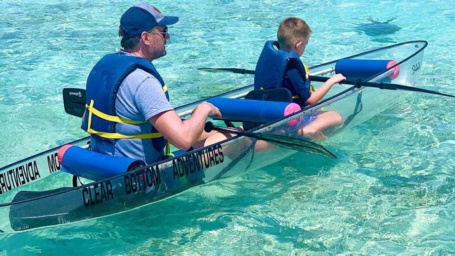 Clear Kayak Tour of Mangroves in Turks and Caicos