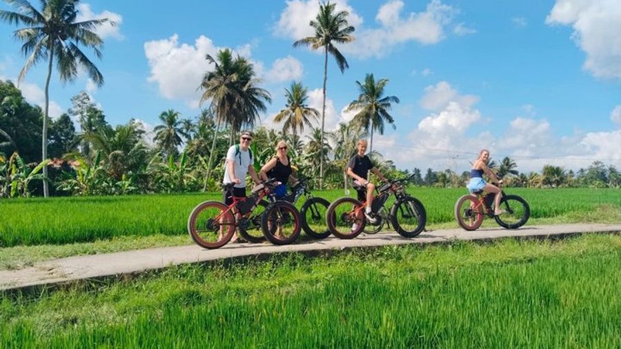 Ubud Private Guided Fully Customizable Fat Tire e-Bike Tour