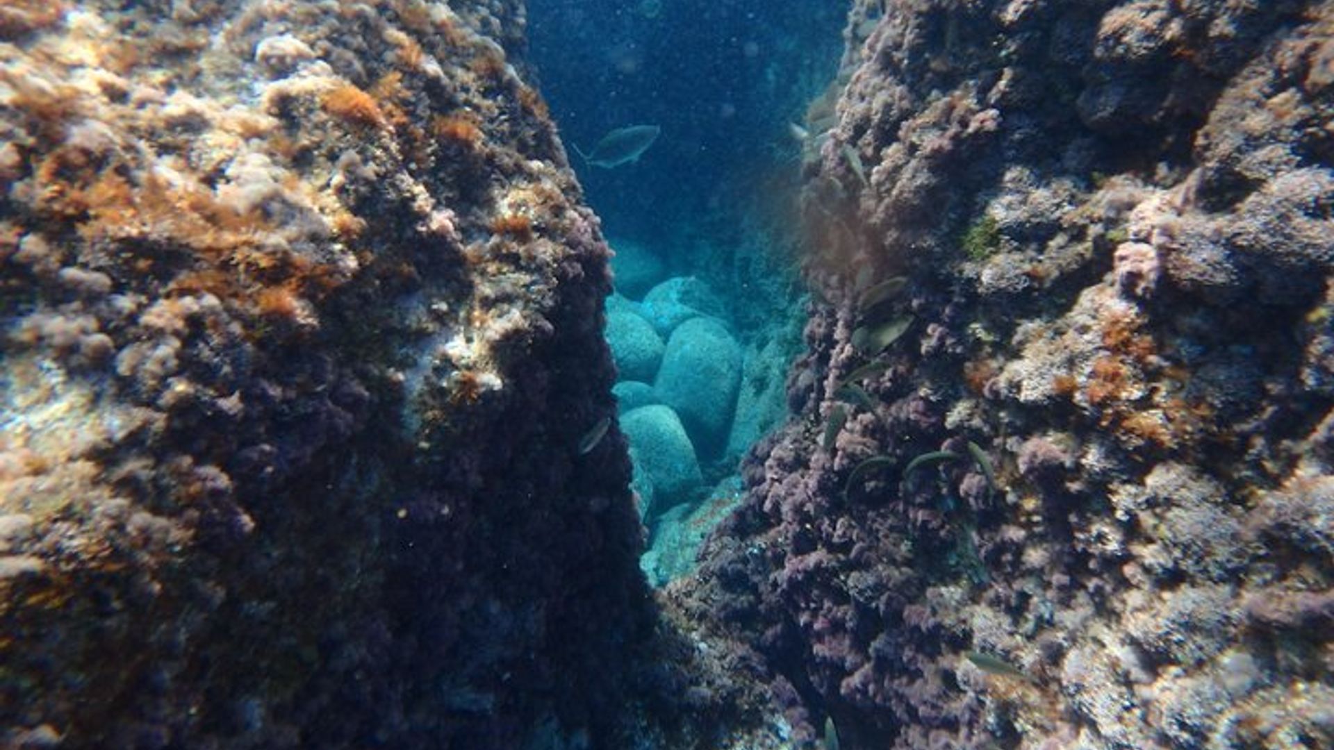 Costa Brava Abenteuer : Kajak, Schnorchel & Klippensprung mit Mittagessen