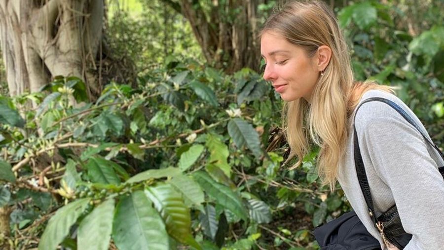 Bogota Private Coffee Farm Experience