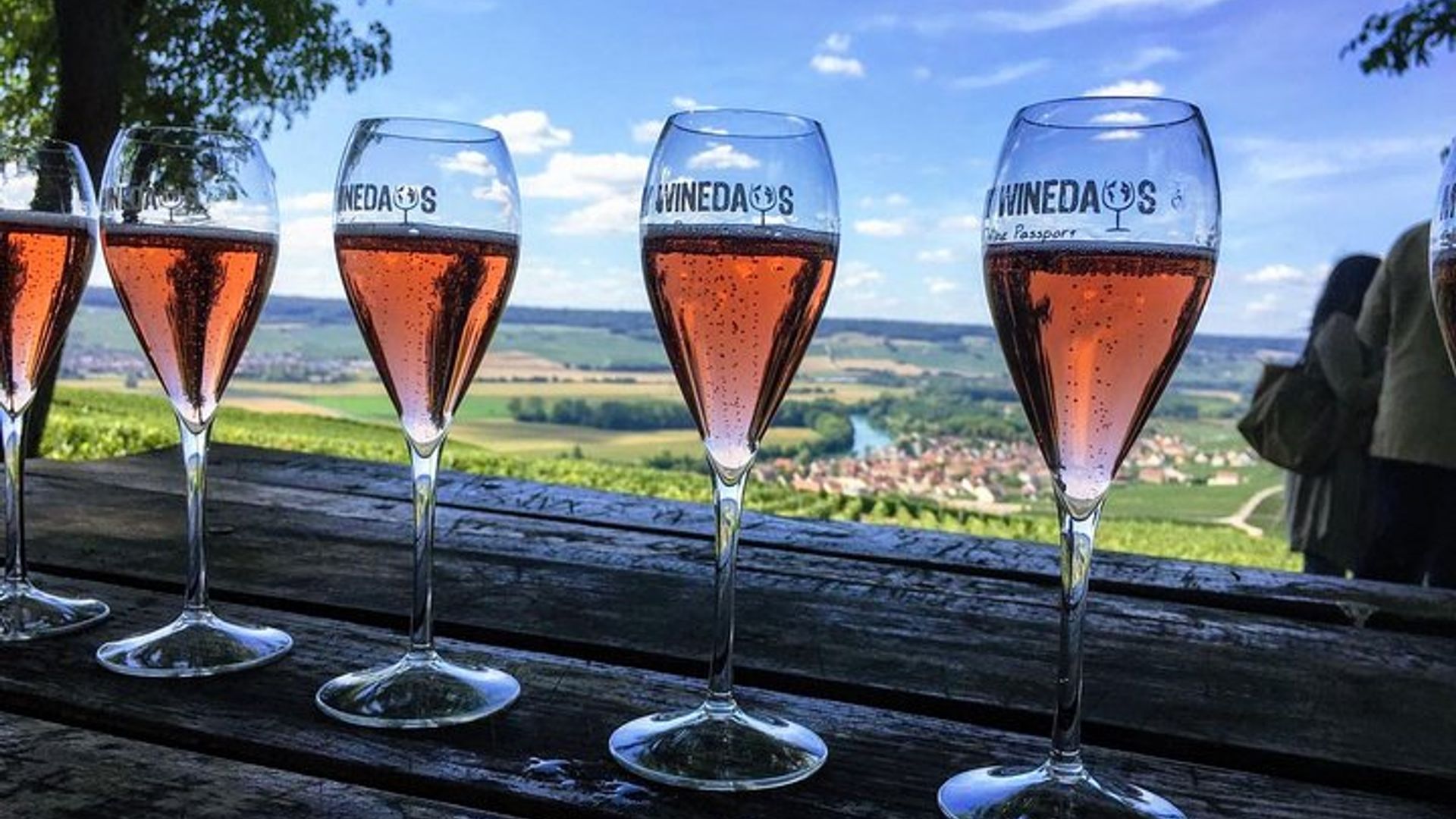 Excursion d'une journée au Champagne au départ de Paris avec 8 dégustations et déjeuner
