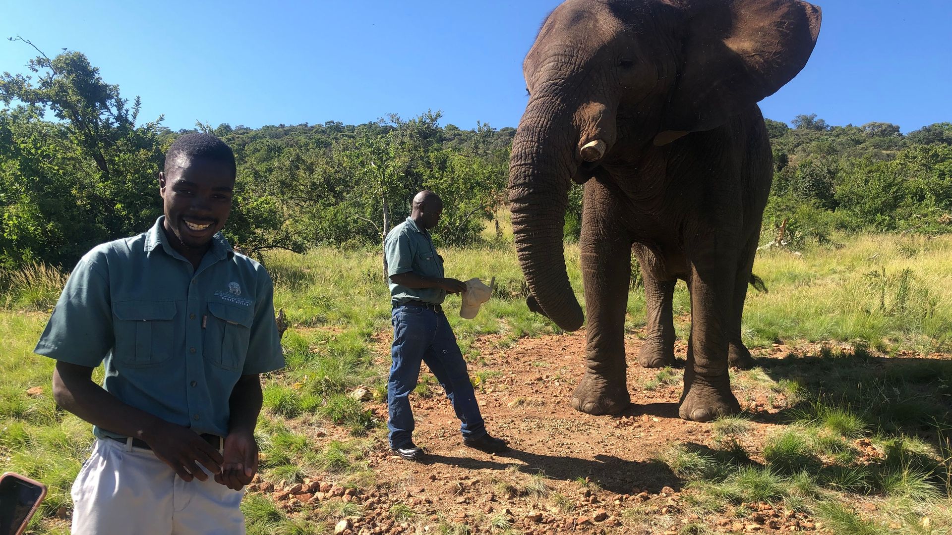 Elephant Sanctuary Tour from Johannesburg