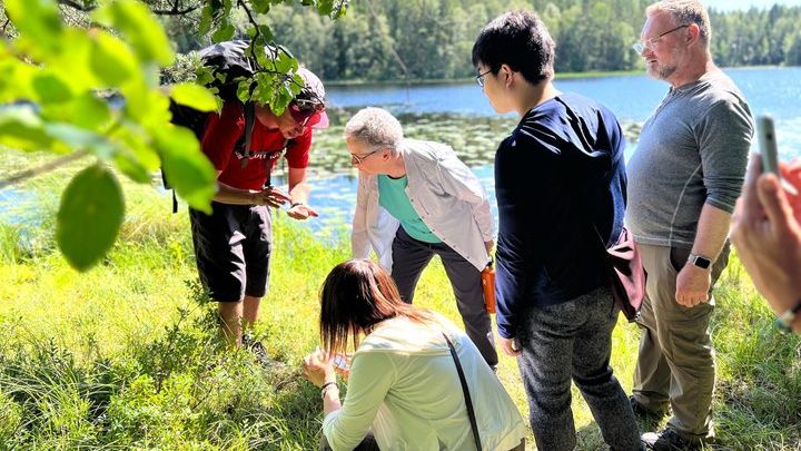 Liesjarvi National Park Taiga Forest Hiking Tour From Helsinki