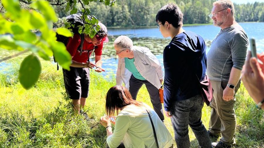 Liesjarvi National Park Taiga Forest Hiking Tour From Helsinki