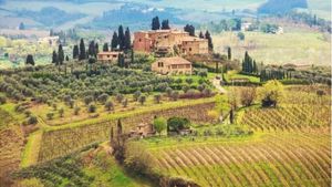 Florence: Design Your Own Wine Experience Cover Image