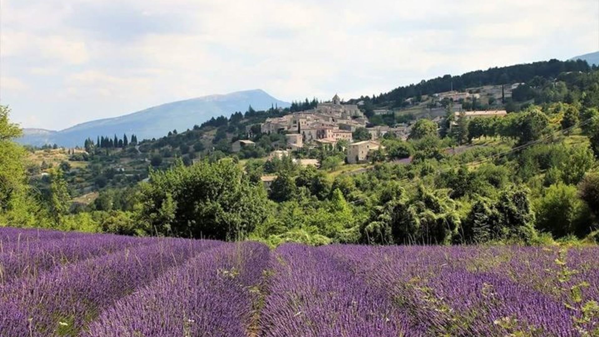 Private Tour of Provence Lavender Fields and Scenic Vistas