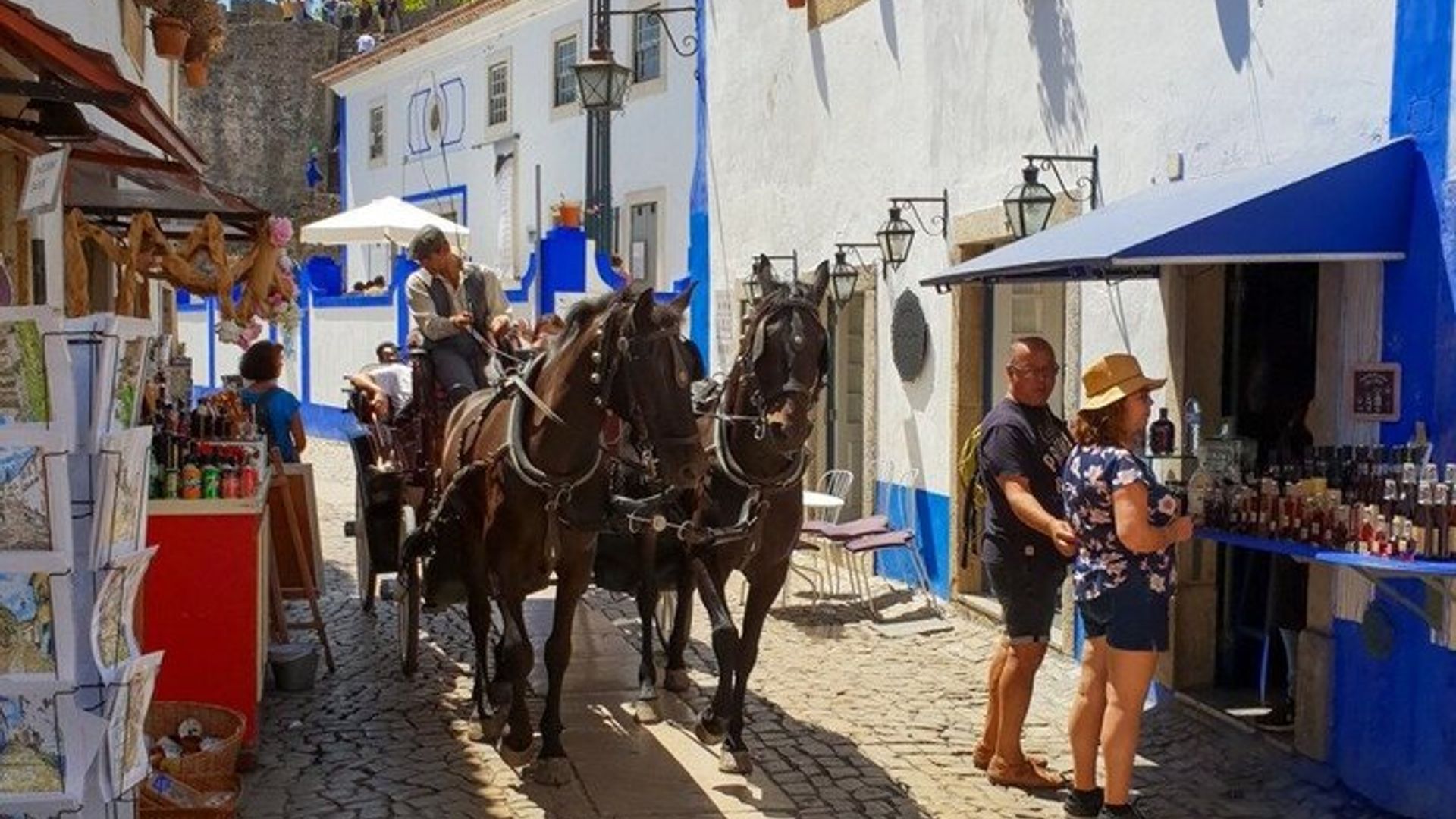 Tour Privado de Óbidos y Sintra