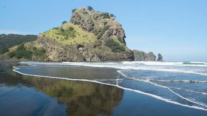 Auckland: Coast & Rainforest Eco-Tour With Picnic Lunch