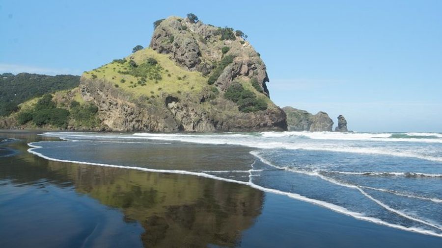 Auckland: Coast & Rainforest Eco-Tour With Picnic Lunch