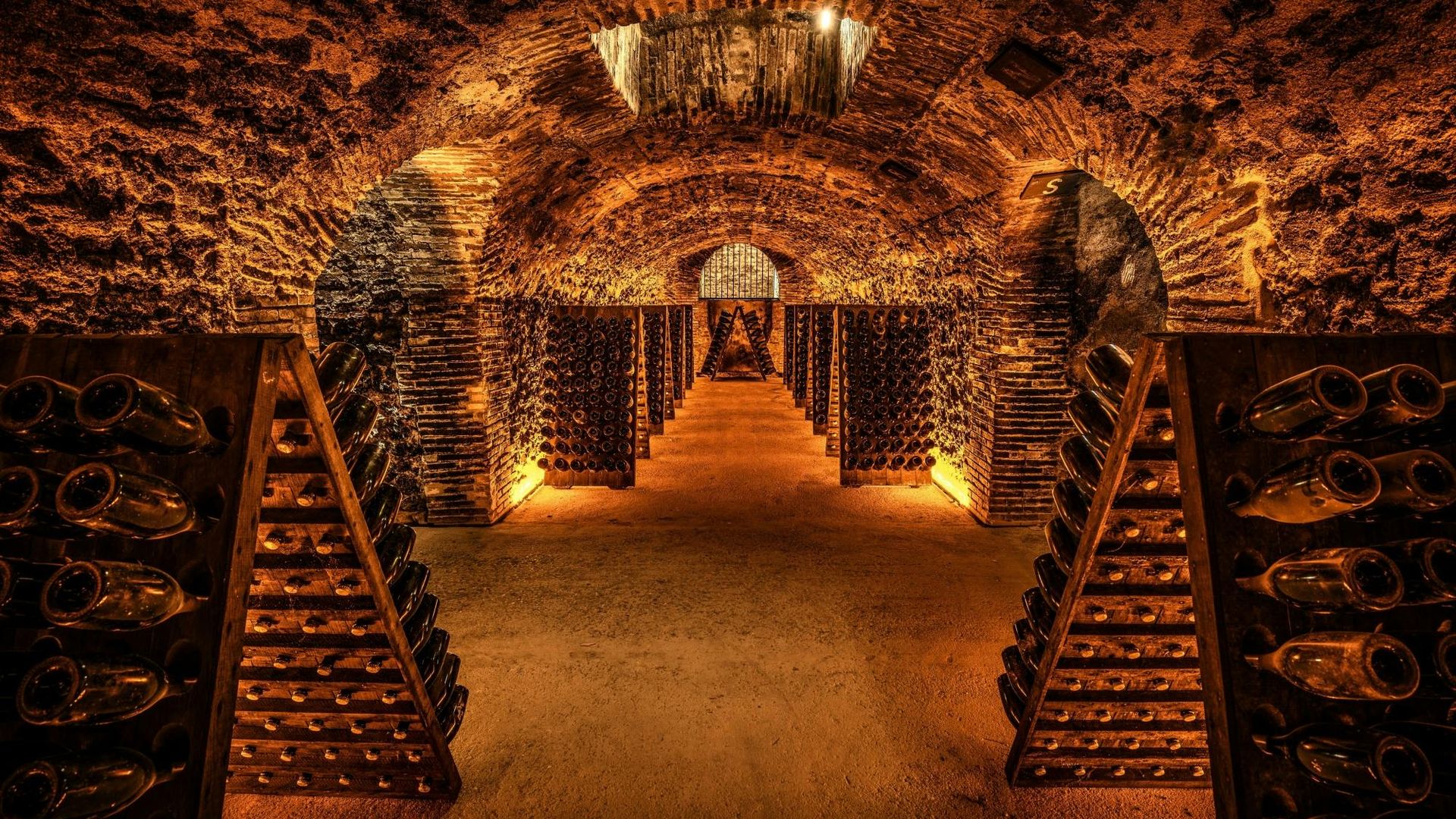 Cellar visit at the Champagne Boizel house and Millésime tasting
