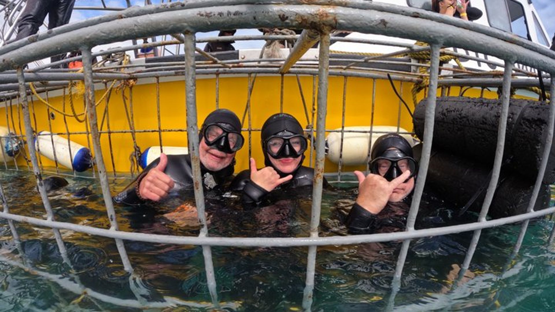 Experiencia de buceo en jaula con gran tiburón blanco