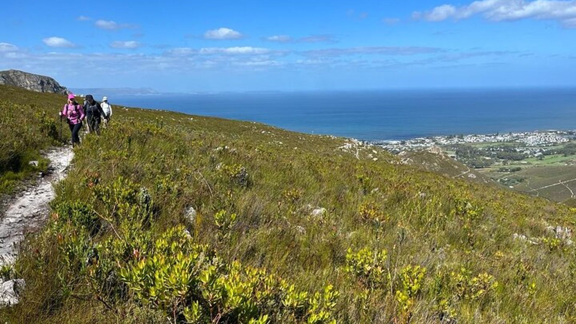 Hermanus Guided Nature Excursions