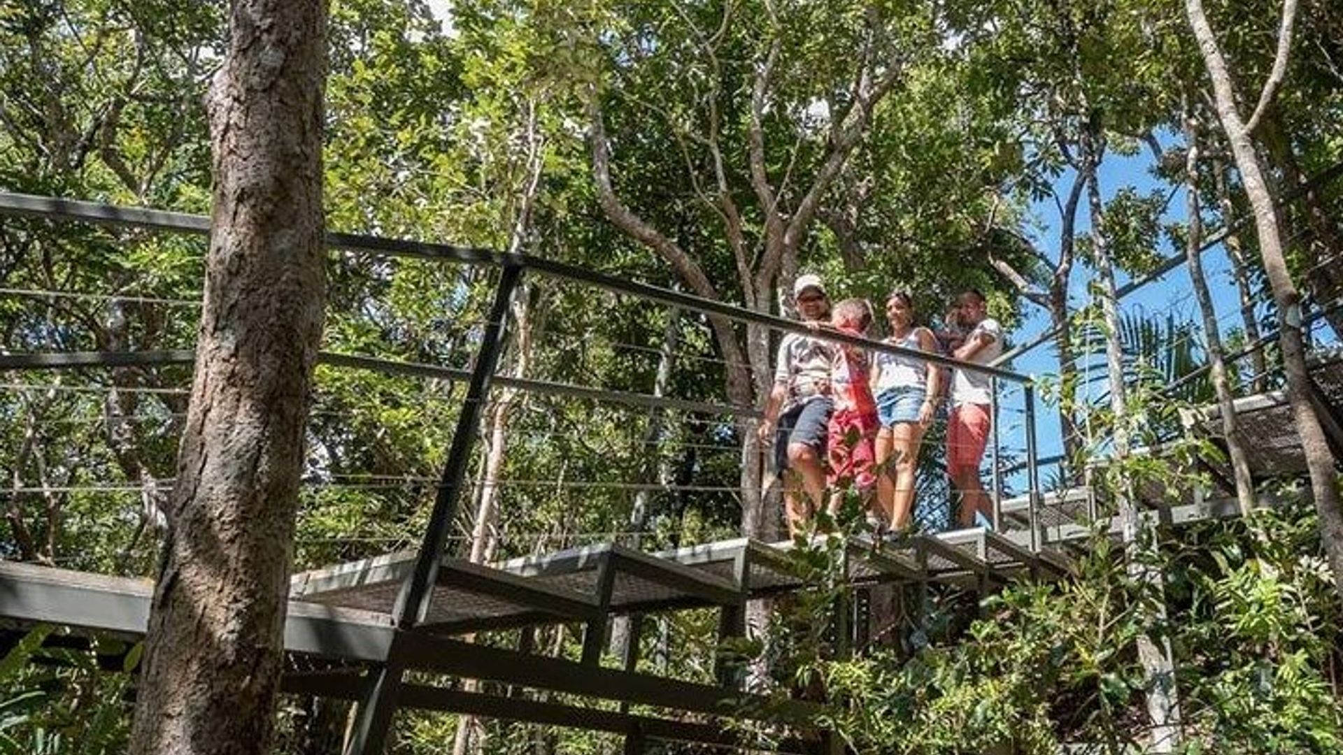 EXOTIQUE Sud-Ouest de l'île Maurice avec Ebony JEEP Forest Safari & Déjeuner