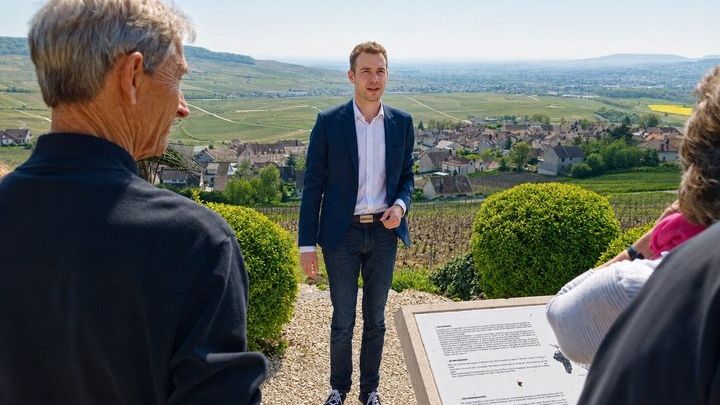 Grand Cru Family Domain & Famous House Champagne Tour