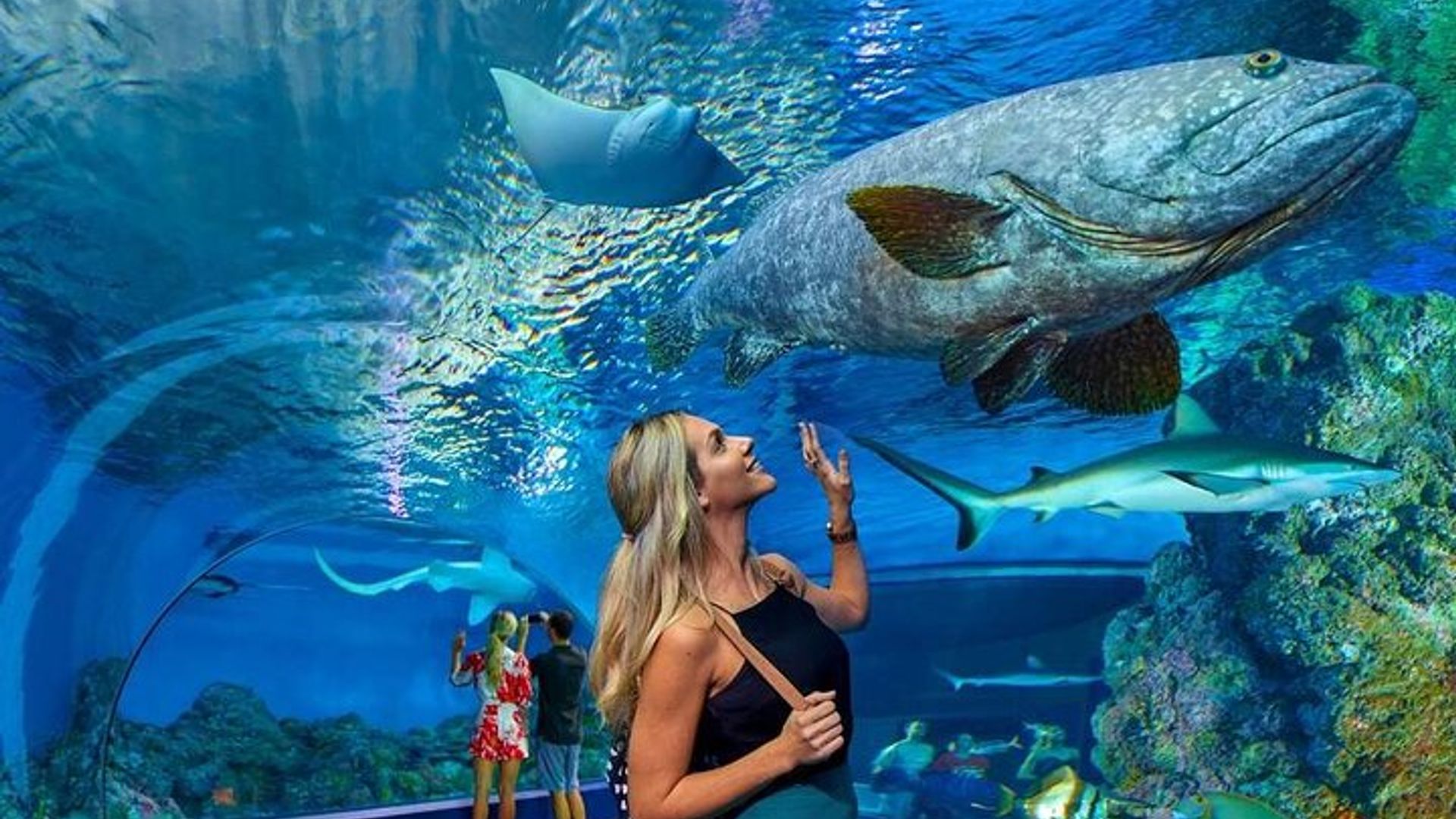 Antalya Aquarium with Entrance and Roundtrip Transfer from Alanya