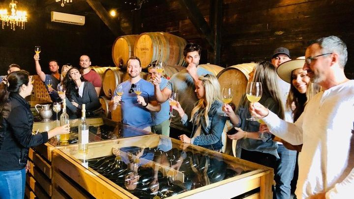 Baja California, Guadalupe Valley Wine Route and Museum Tour