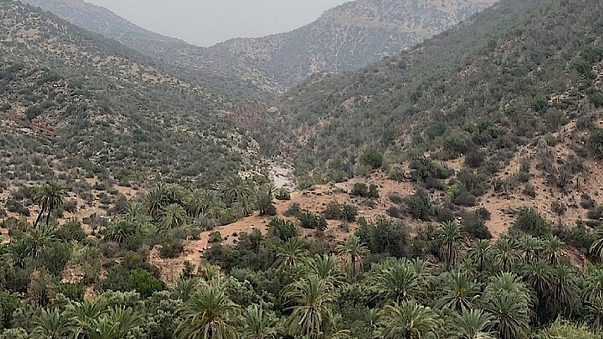 Agadir Paradise Valley Randonnée et baignade avec petit déjeuner et déjeuner