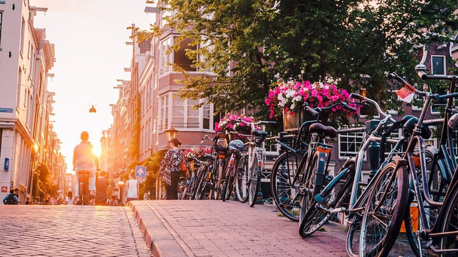 Paris nach Amsterdam: Privater Transfer mit Brüsseler Haltestelle
