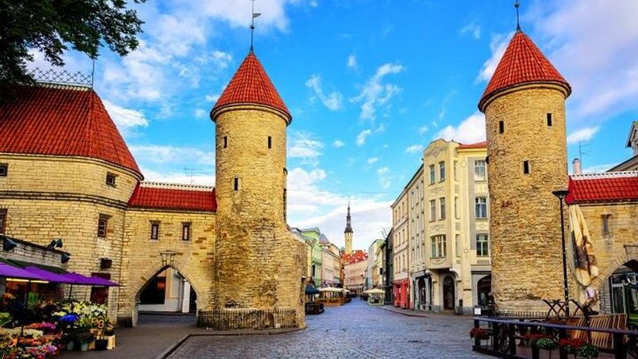 Best of Tallinn: Small Group Walking Tour (Max 10, 3 Hours)