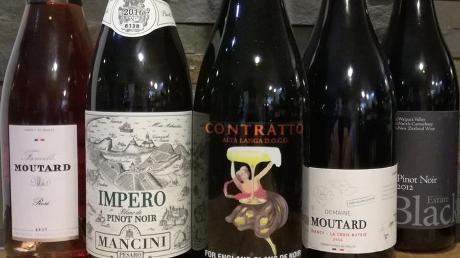 Wine and Food Tasting in Como