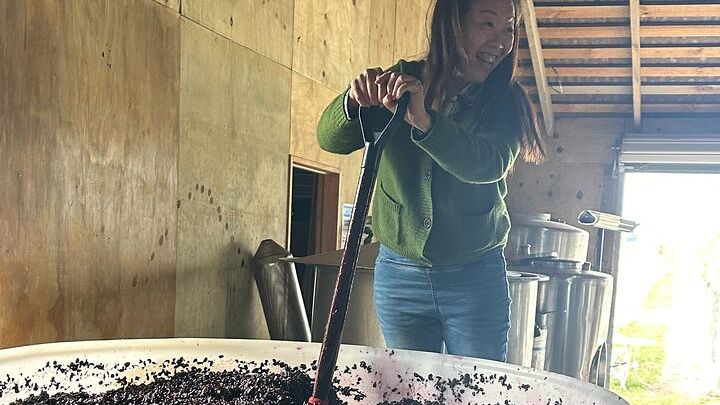 Martinborough Private Chef Wine Tour and Lunch From Wellington