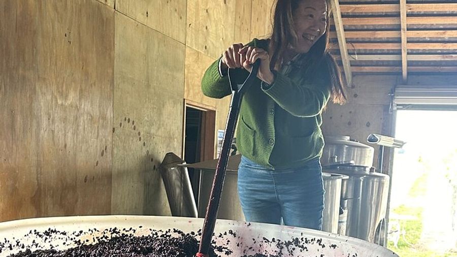 Martinborough Private Chef Wine Tour and Lunch From Wellington