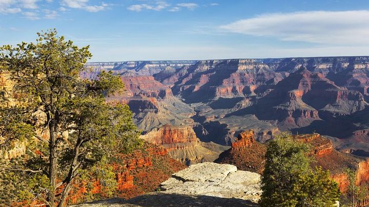 Grand Canyon Private Tour from Phoenix or Scottsdale