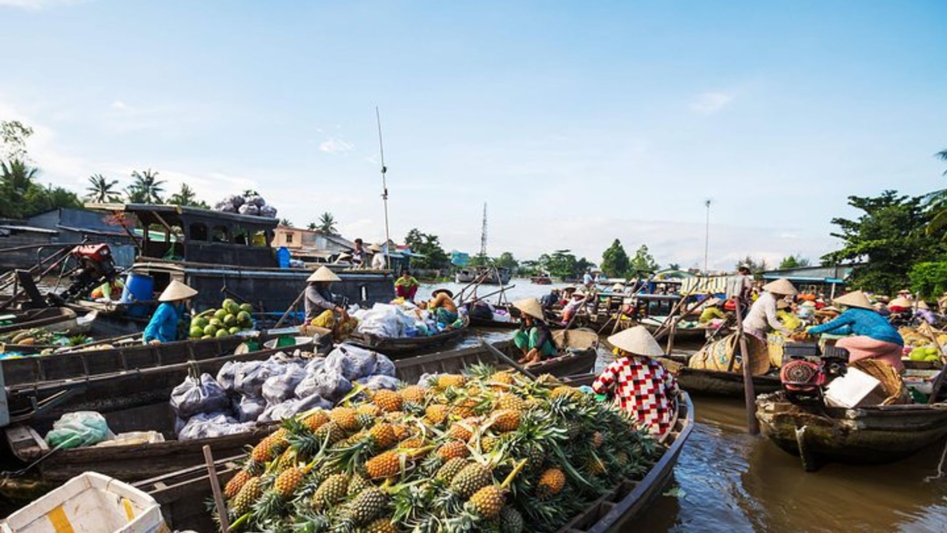 HCMC Tour de 2 días por el delta del Mekong y mercado flotante para grupos pequeños