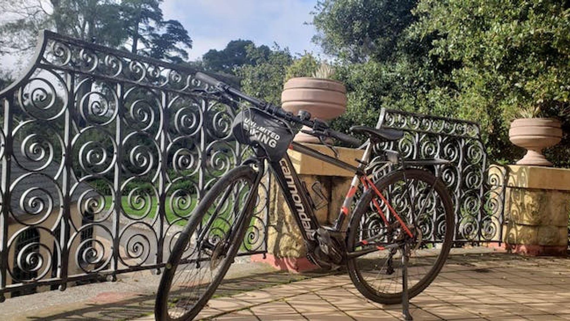 Highlights of Golden Gate Park guided bike tour image 3