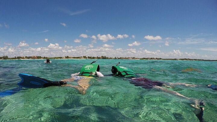 Caribbean Sea and Cenote Snorkeling Tour from Tulum
