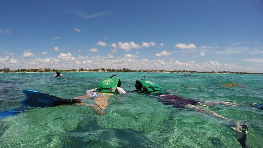 Caribbean Sea and Cenote Snorkeling Tour from Tulum