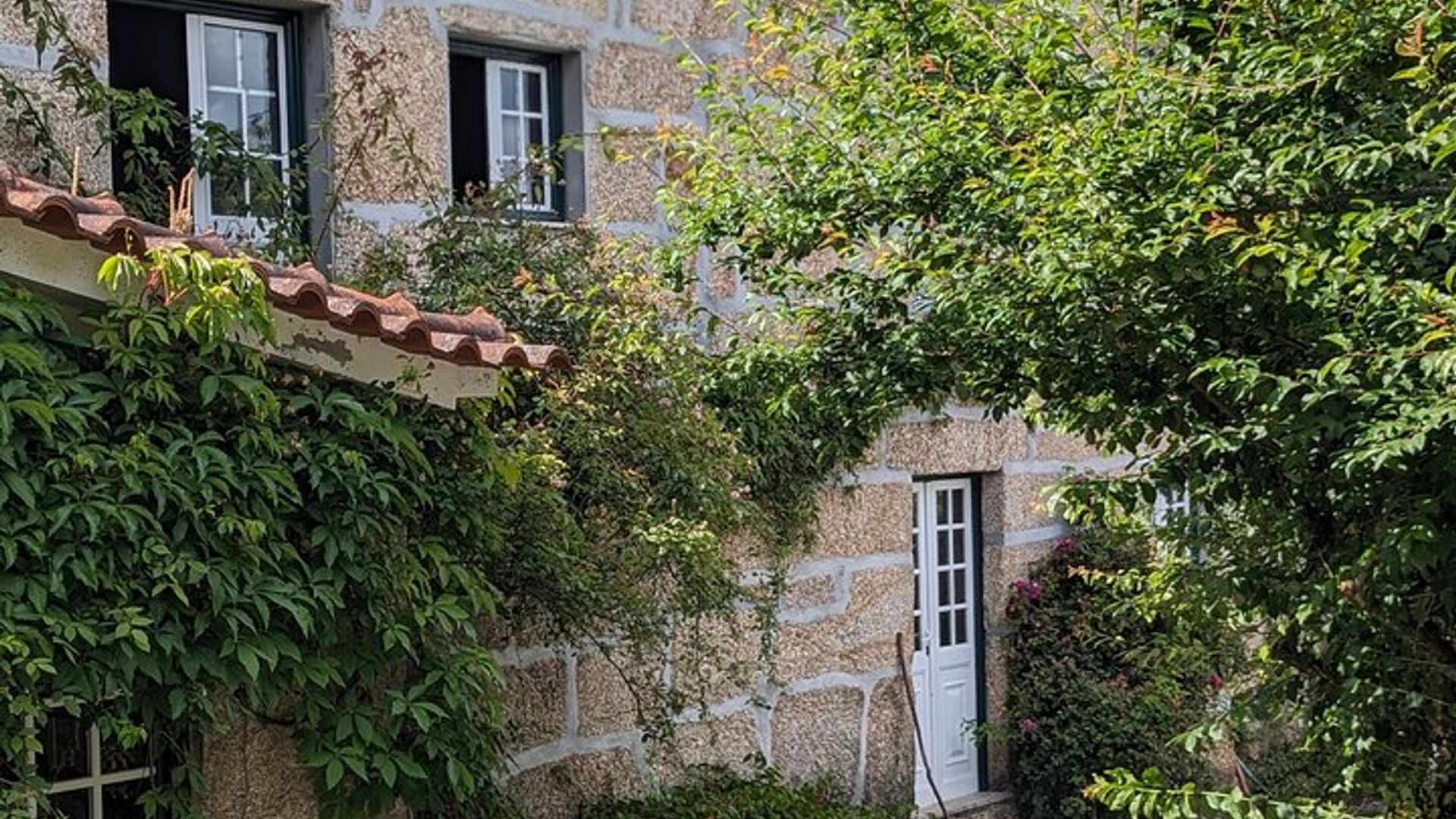 Cours de cuisine traditionnelle, visite de ferme et déjeuner dans la vallée du Douro