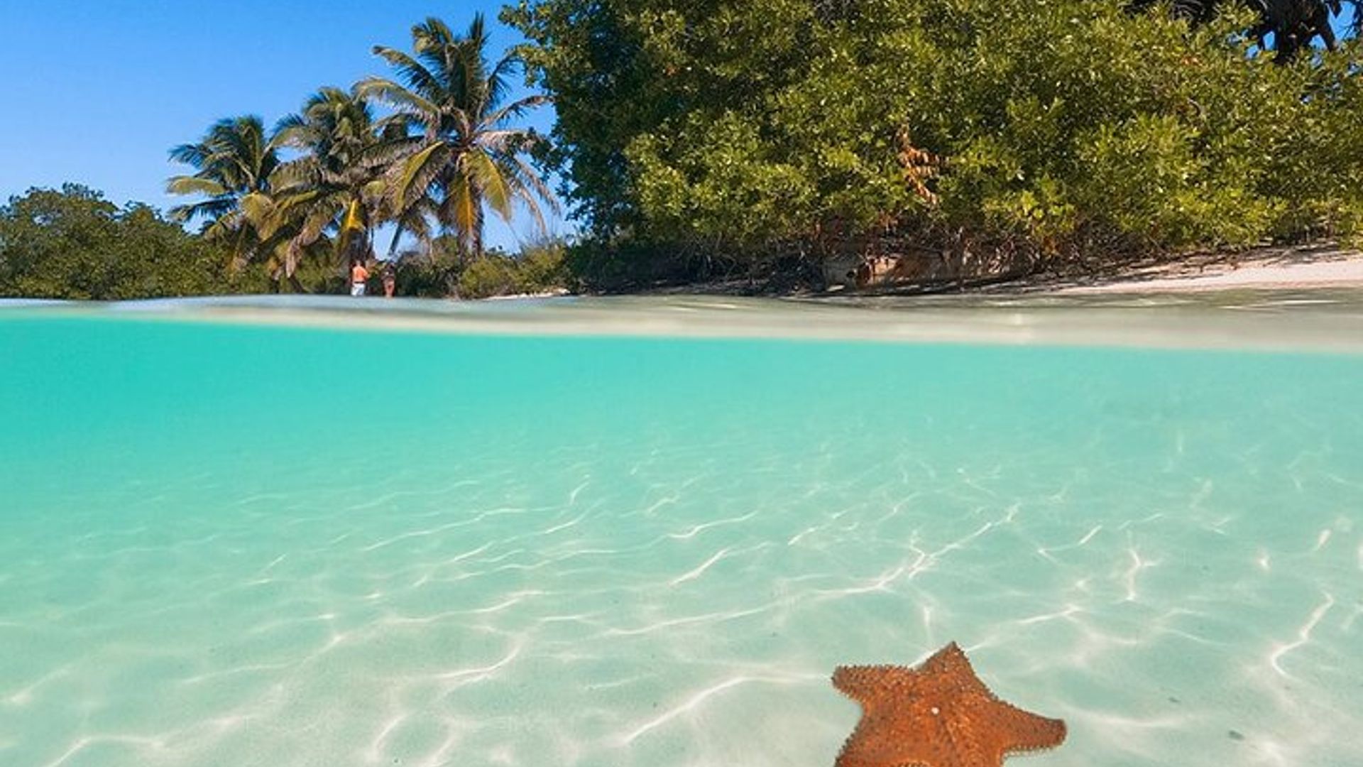 Contoy Island Tour from Cancun and Isla Mujeres with Snorkeling image 2