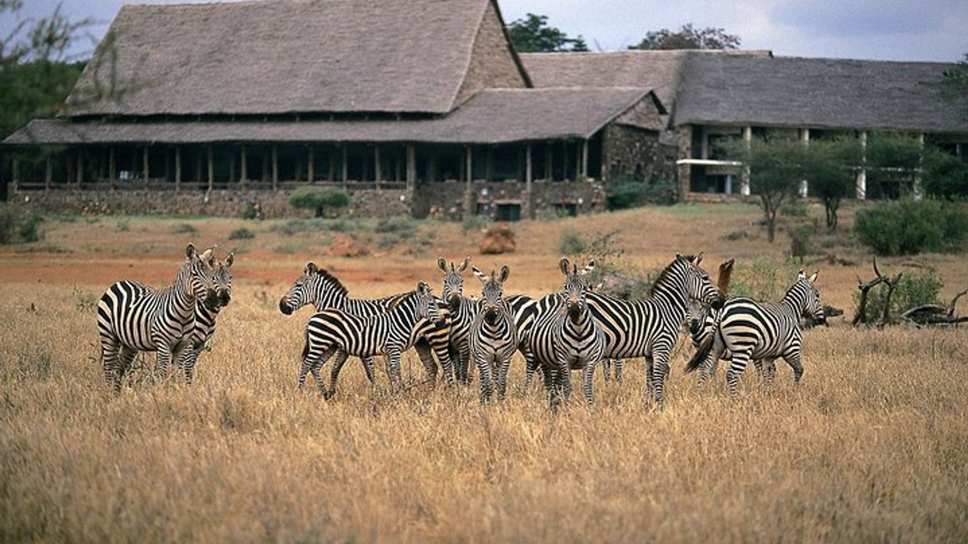 2-Day Mombasa to Tsavo West & Tsavo East Wildlife Safari