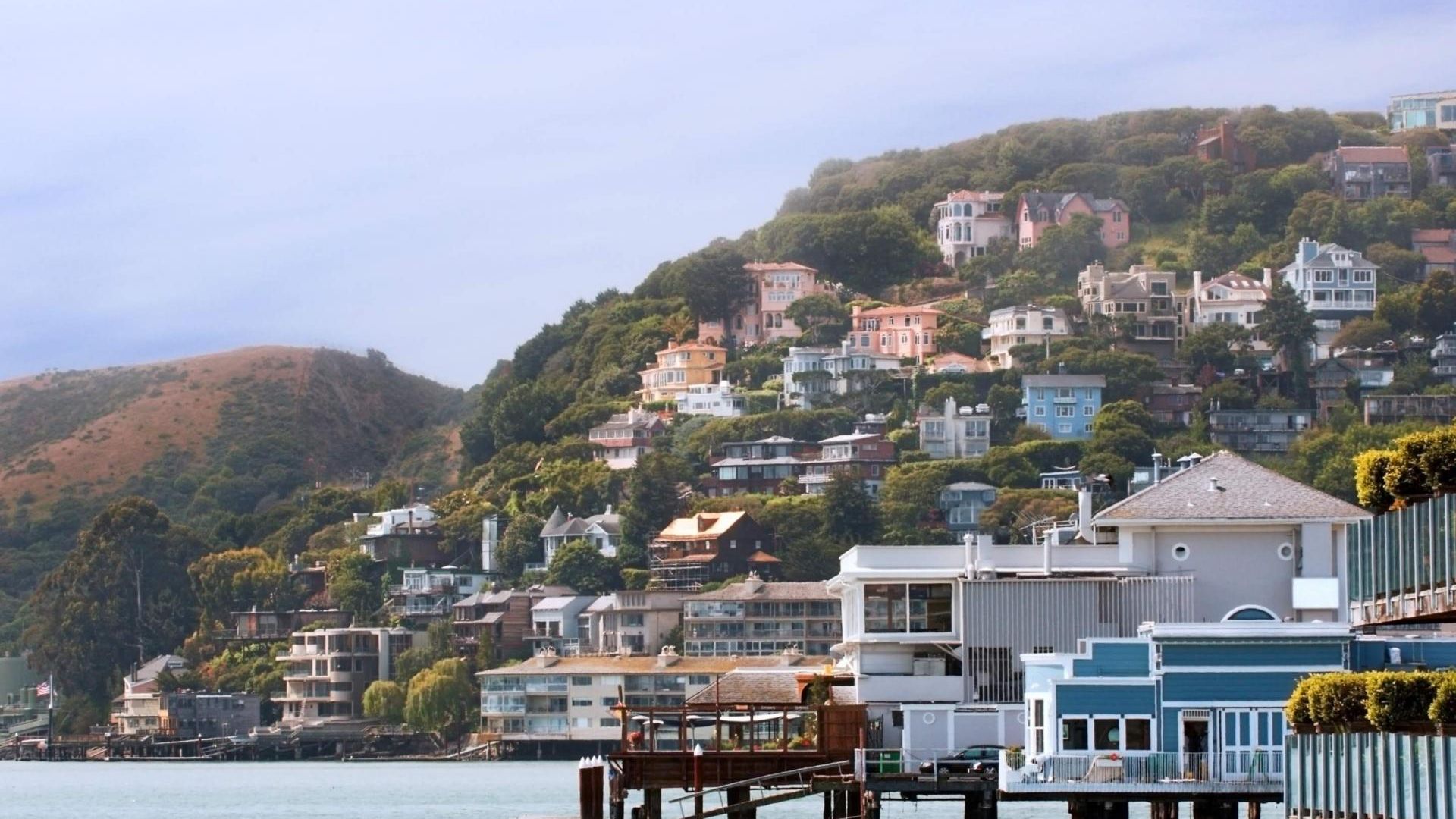 Muir Woods and Sausalito & Alcatraz Island image 2