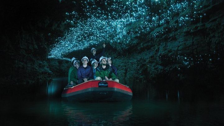 Auckland to Waitomo Glowworm Caves Full-Day Tour