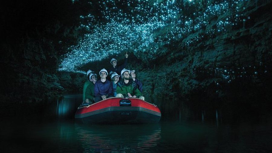 Auckland to Waitomo Glowworm Caves Full-Day Tour